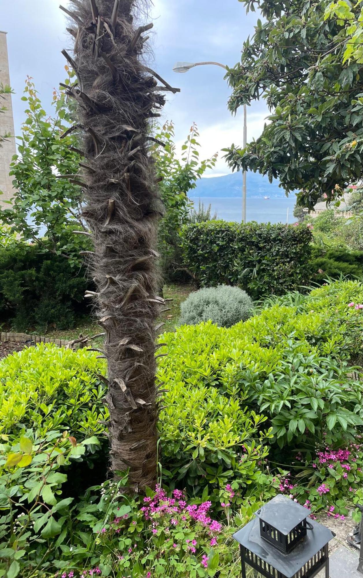 Dolce Vita Rijeka Luaran gambar